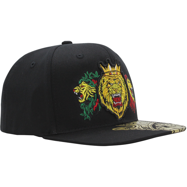 The Lions Cap N21KNG38