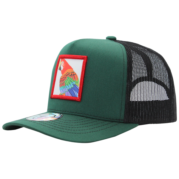 FT-Guacamaya Gorra con Maya Ferreti