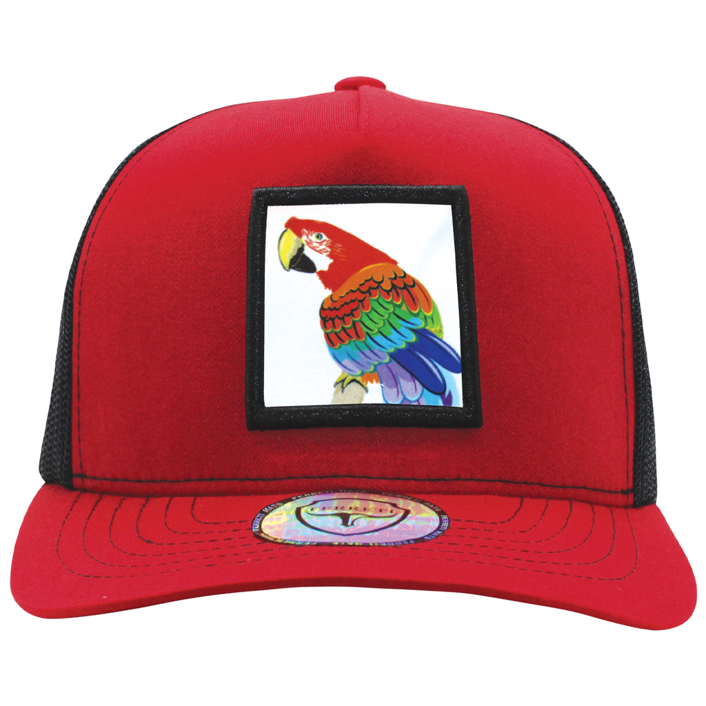 FT-Macaw Cap with Maya Ferreti